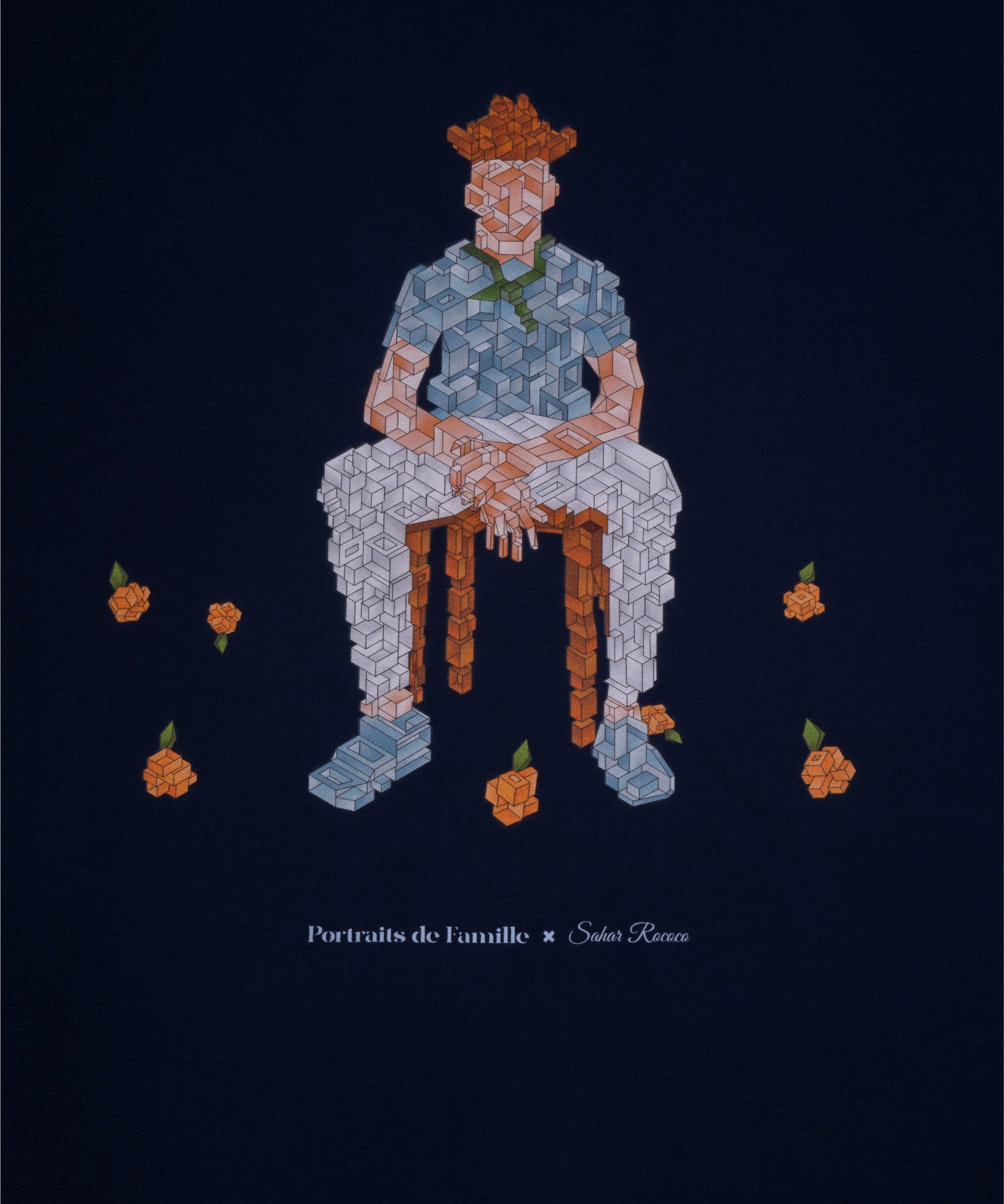 Portraits de Famille Echoes Falling Details Back