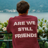 Portraits de Famille The Essentials The Sweater Question Model 3