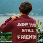 Portraits de Famille The Essentials The Sweater Question Model 4