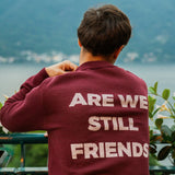 Portraits de Famille The Essentials The Sweater Question Model 4